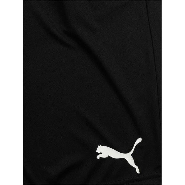 Spodenki męskie Active Interlock Shorts B Puma