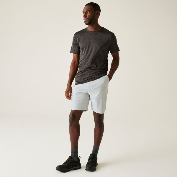 Spodenki męskie Dalry Regatta - Silver Grey