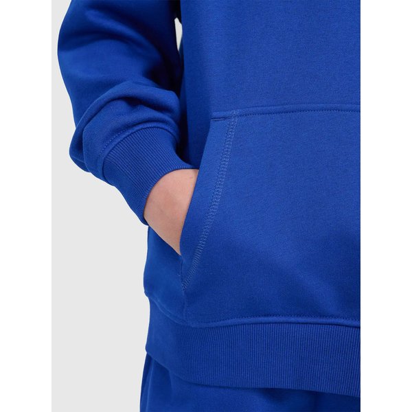 Bluza chłopięca TSWSM1945 4F - kobalt