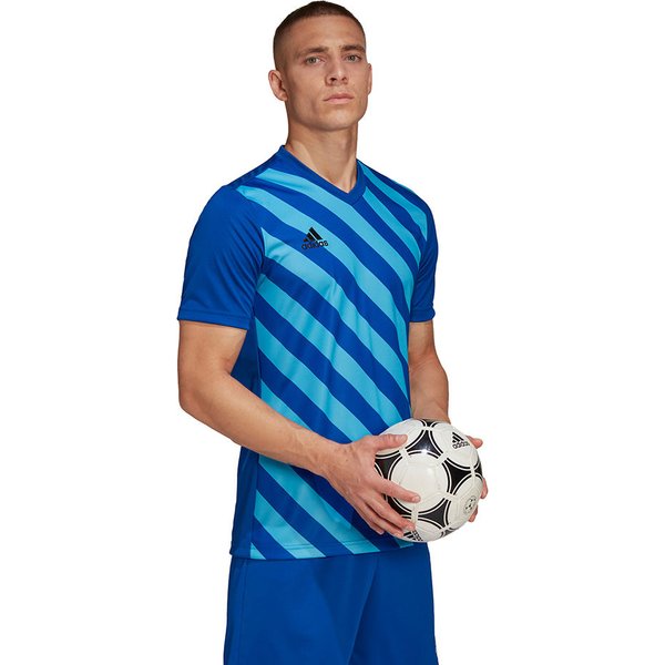 Koszulka męska Entrada 22 Graphic Adidas - niebiesko-błękitna