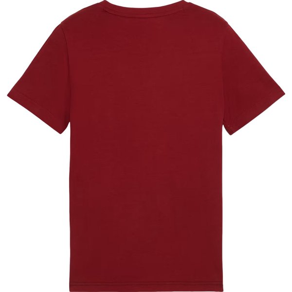 Koszulka juniorska ESS Block Tee B Puma