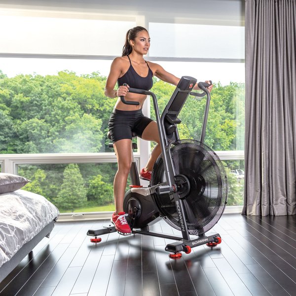 Rower powietrzny Airdyne AD8 Schwinn