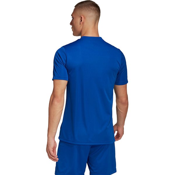 Koszulka męska Entrada 22 Graphic Adidas - niebiesko-błękitna