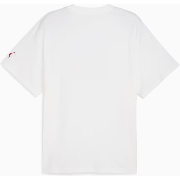 Koszulka męska Spicy Dylan Tee Puma