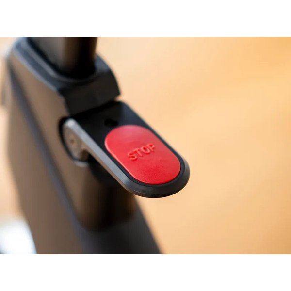 Rower spinningowy Speed Race X Hammer