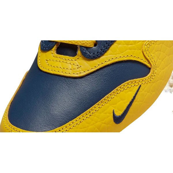 Buty Air Max 1 Premium Wm's Nike