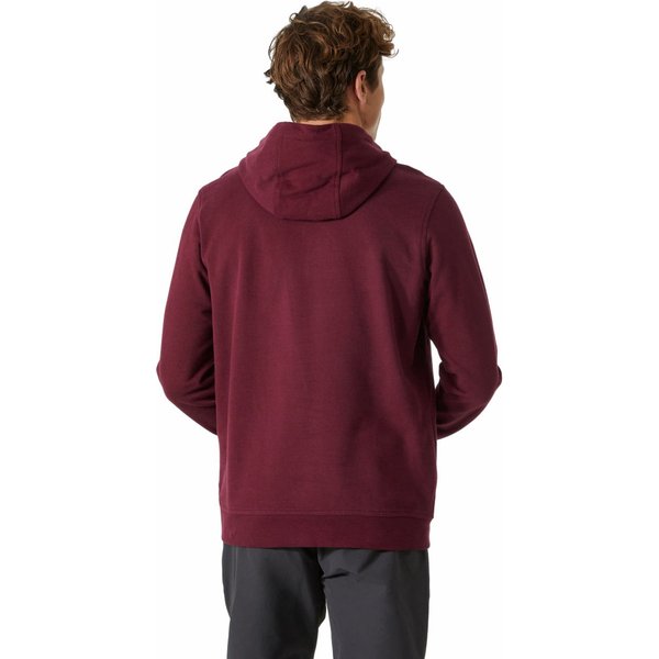 Bluza męska HH Hoodie Logo Helly Hansen - burgund