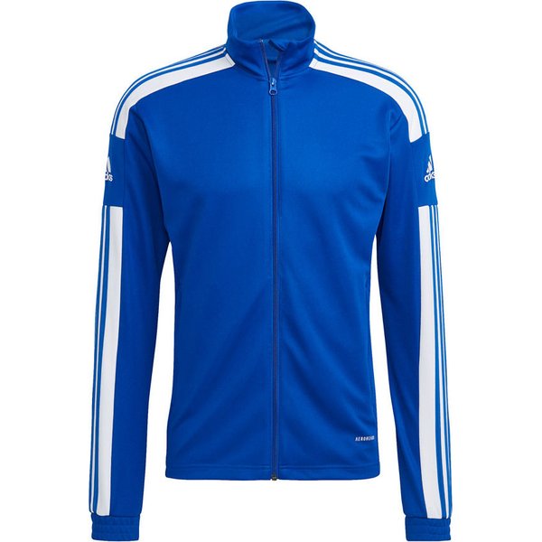 Dres męski Squadra 21 Training Adidas - royal blue/black