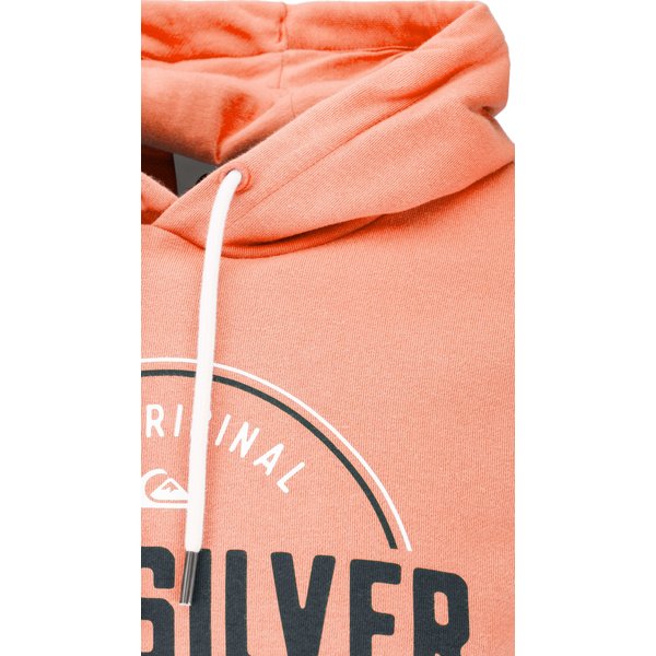 Bluza męska Circle Up Hood Quiksilver - Canyon Clay