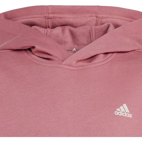 Bluza juniorska Essentials Small Adidas