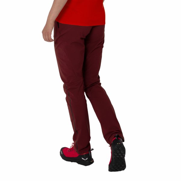 Spodnie trekkingowe damskie Pedroc 4 DST Salewa - alloy