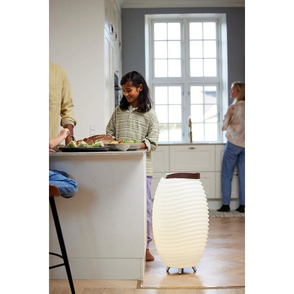 Lampa głośnikowa z uchwytem na napoje i chłodziarką Synergy 65 Kooduu