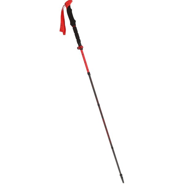 Kije trekkingowe Spider FS Viking