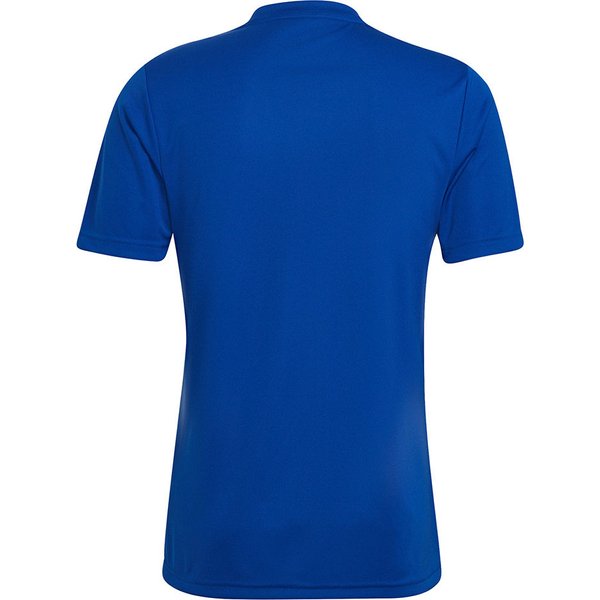 Koszulka męska Entrada 22 Graphic Adidas - niebiesko-błękitna