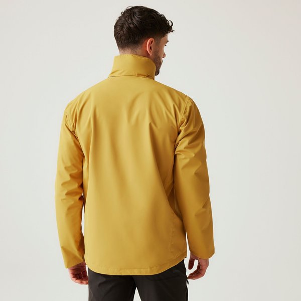 Kurtka męska Matt II Regatta - Mustard