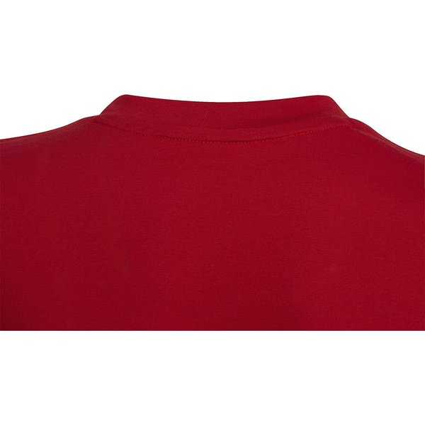 Koszulka juniorska Entrada 22 Tee Adidas