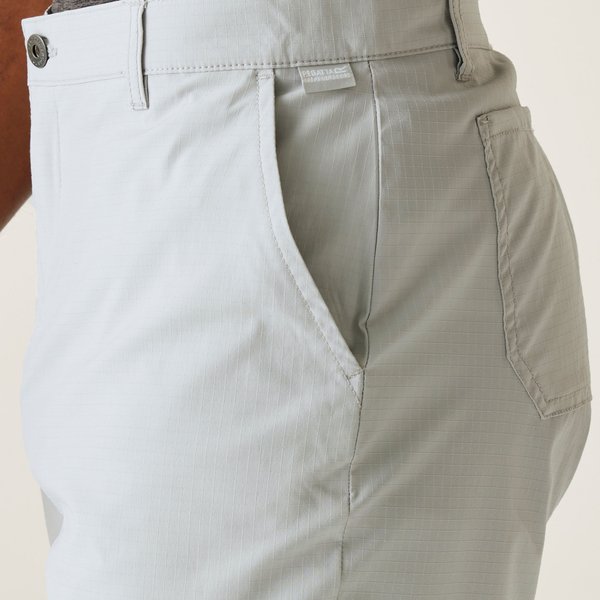 Spodenki męskie Dalry Regatta - Silver Grey