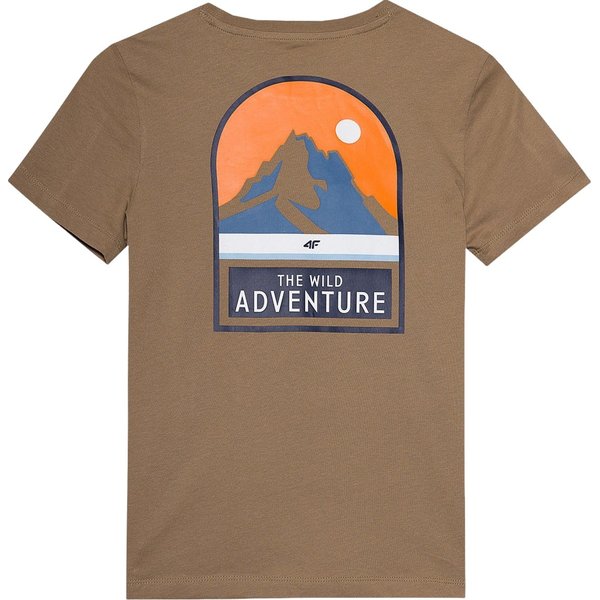 Koszulka chłopięca 4FJWSS24TTSHM1131 4F - brąz