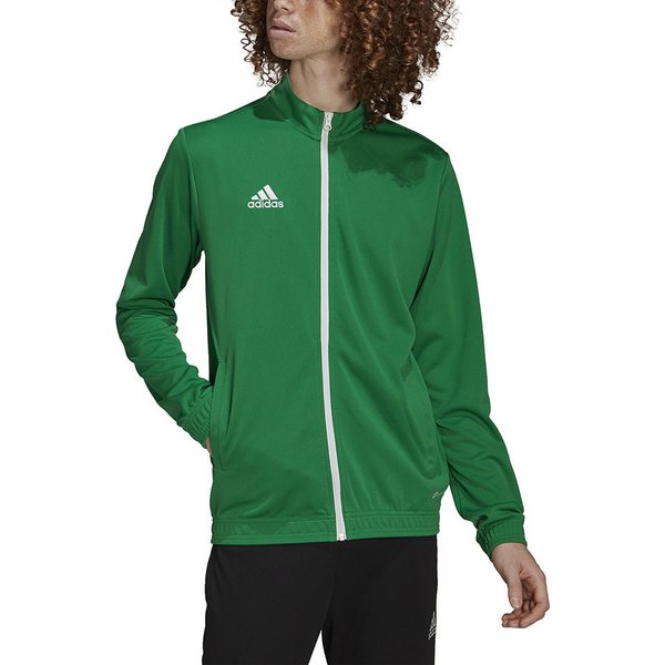 Dres męski Entrada 22 Adidas - zielony/czarny