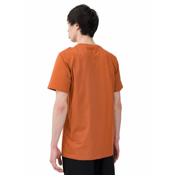 Koszulka męska 4FWSS24TTSHM1156 4F - brąz