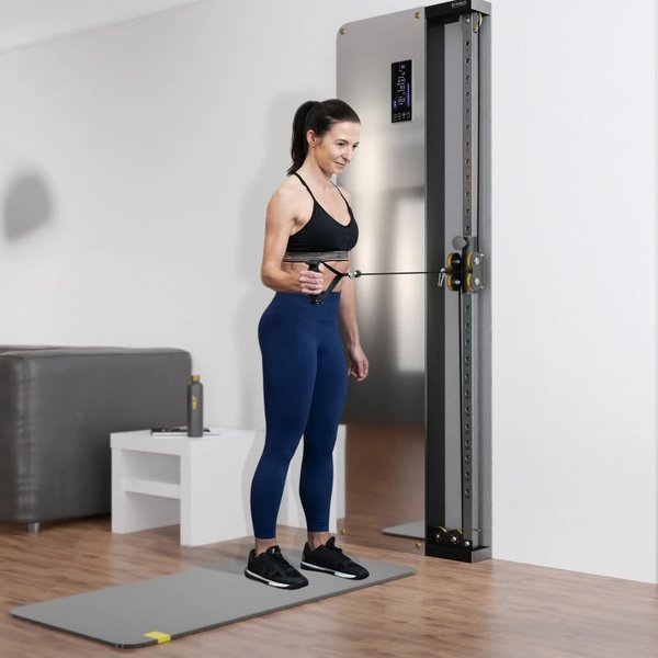 Brama treningowa pneumatyczna przyścienna Commercial BSP301 HMS