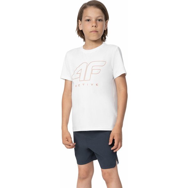 Spodenki chłopięce 4FJSS23TFSHM151 4F - szare