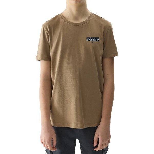 Koszulka chłopięca 4FJWSS24TTSHM1131 4F - brąz