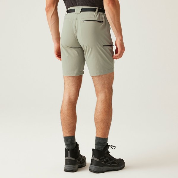 Spodenki trekkingowe męskie Xert III Regatta - Golden Sand