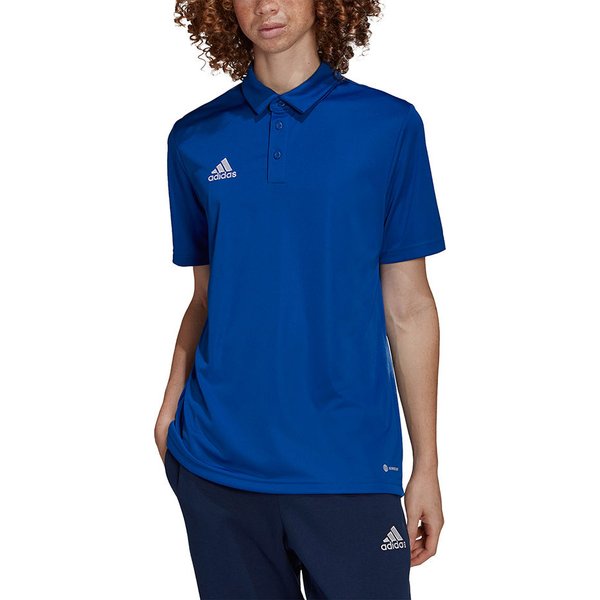 Koszulka męska polo Entrada 22 Polo Adidas - niebieska