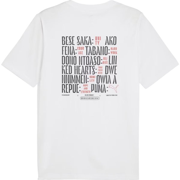 Koszulka męska Road To Unity Values Graphic Puma - white