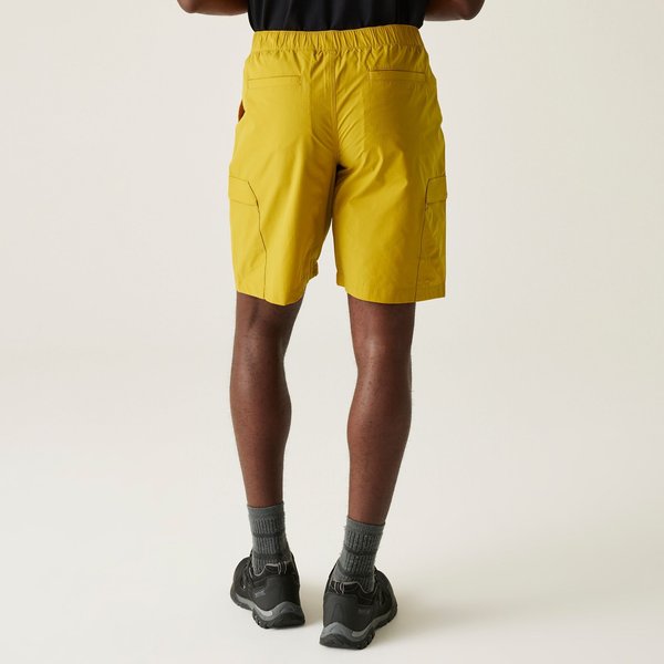 Spodenki męskie Mallen Regatta - Mustard