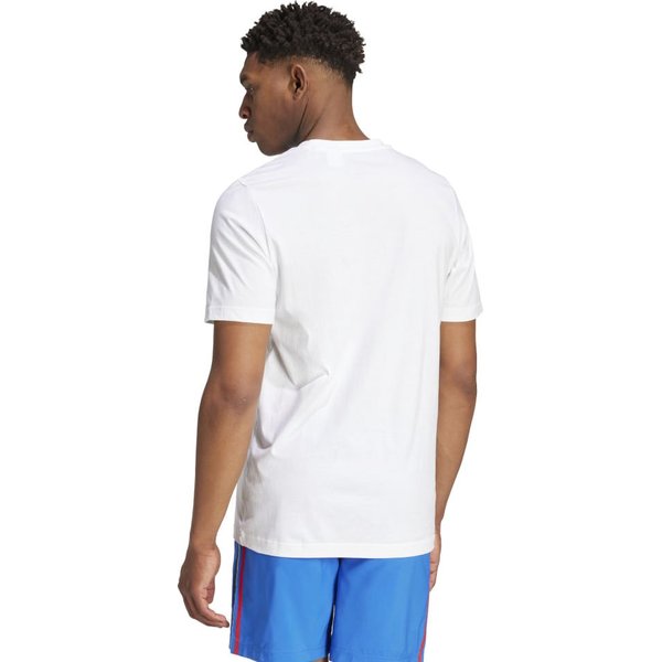 Koszulka męska Italy DNA Graphic Adidas