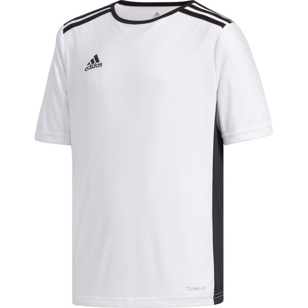 Komplet piłkarski junior Entrada 18 + Parma 16 Adidas - biało-zielony