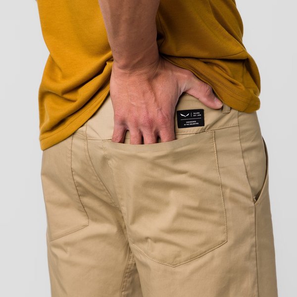 Spodenki męskie Fanes Light Salewa - quicksand