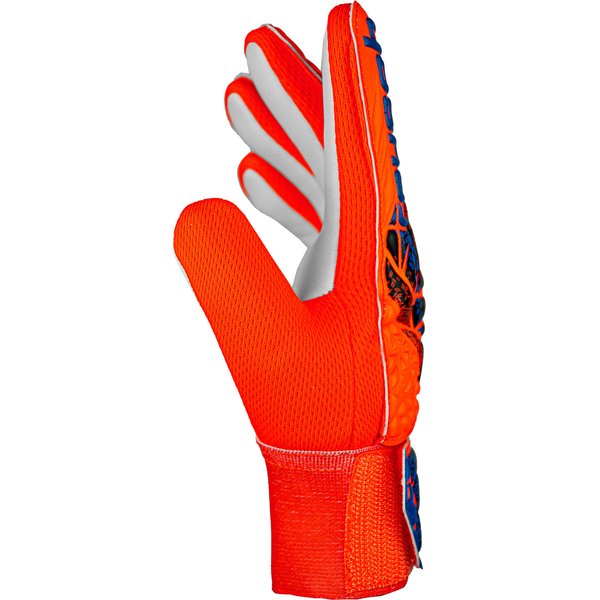 Rękawice bramkarskie Attrakt Starter Grip Reusch