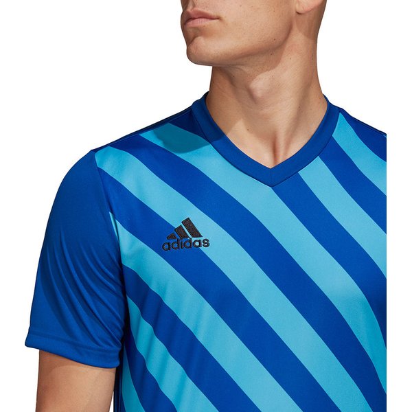 Koszulka męska Entrada 22 Graphic Adidas - niebiesko-błękitna
