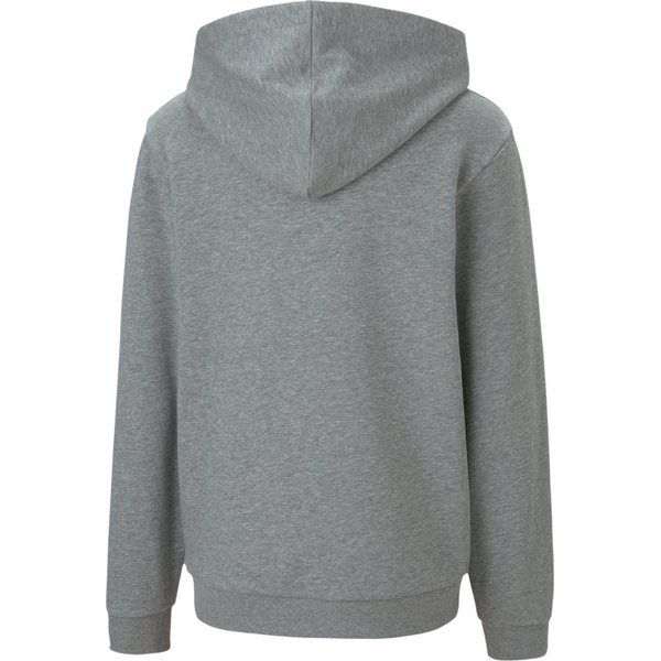 Bluza juniorska teamGOAL 23 Casuals Hoody Puma - szara