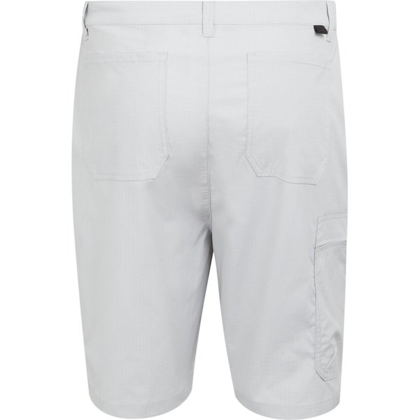 Spodenki męskie Dalry Regatta - Silver Grey