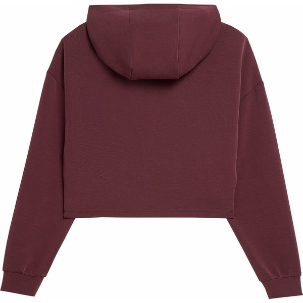 Bluza damska Crop-Top 4FSS23TSWSF362 4F - brązowa