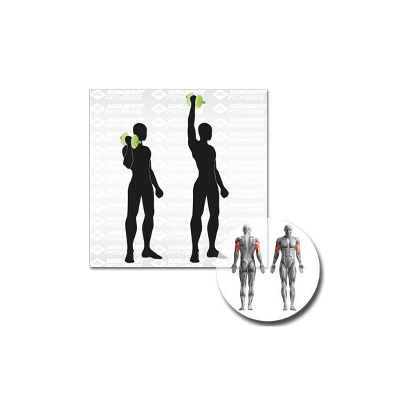 Zestaw hantli żeliwnych w walizce 10kg Schildkröt Fitness