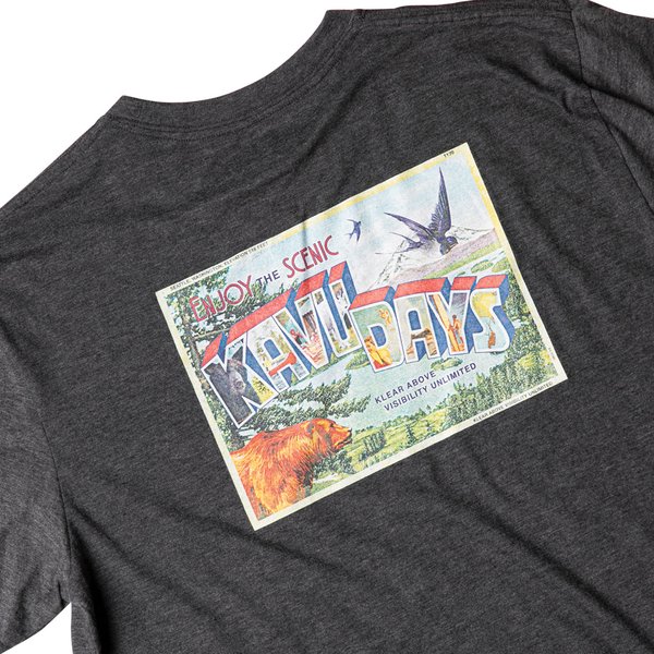 Koszulka męska Post Out KAVU