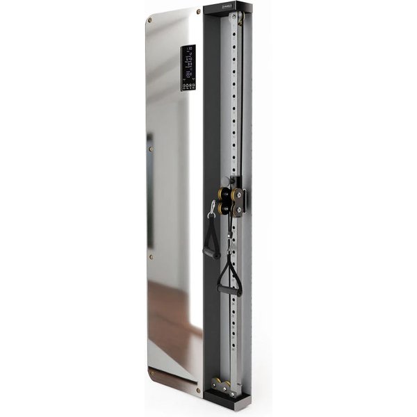 Brama treningowa pneumatyczna przyścienna Commercial BSP301 HMS