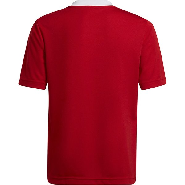 Koszulka juniorska Entrada 22 Jersey Adidas - czerwona