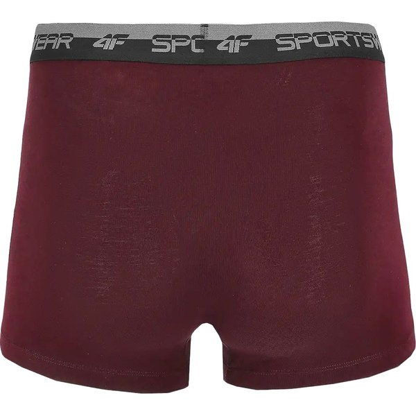 Bokserki męskie 4FWMM00UBXSM051 2szt. 4F - granat/czerwony