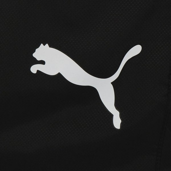 Spodnie męskie windCELL Puma