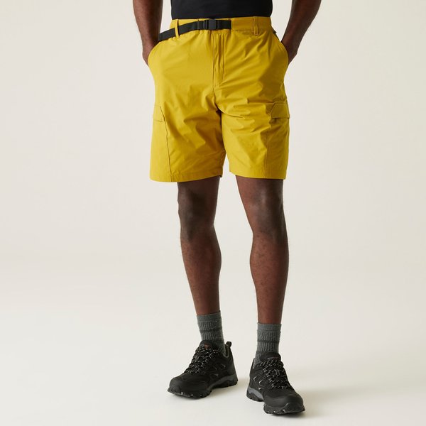 Spodenki męskie Mallen Regatta - Mustard
