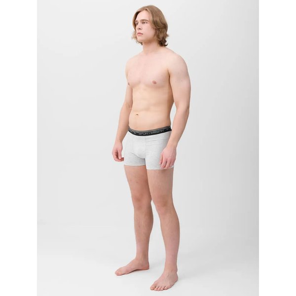 Bokserki męskie 2szt. 4FWMM00UBXSM051 4F