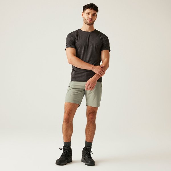 Spodenki trekkingowe męskie Xert III Regatta - Golden Sand