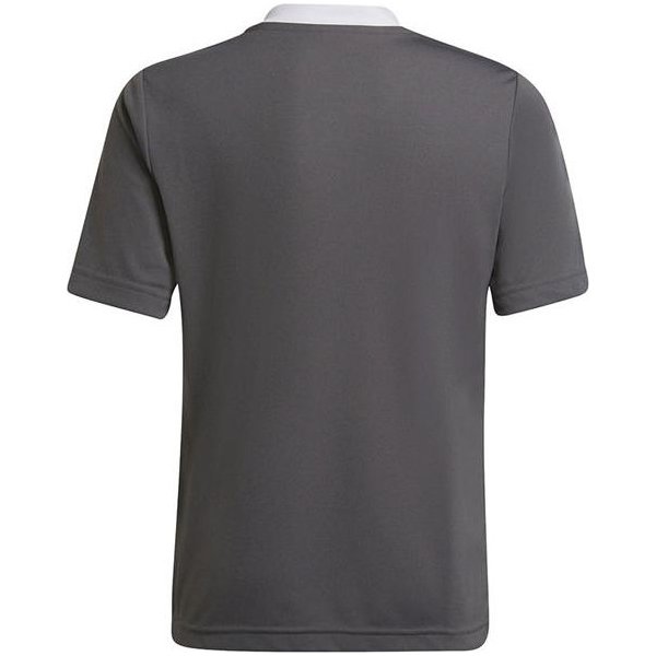 Koszulka juniorska Entrada 22 Jersey Adidas - szara
