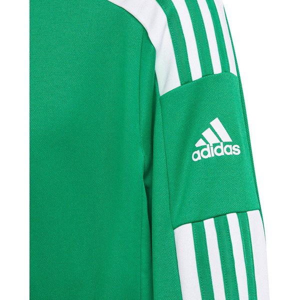 Bluza juniorska Squadra 21 Training Youth Adidas - zielony